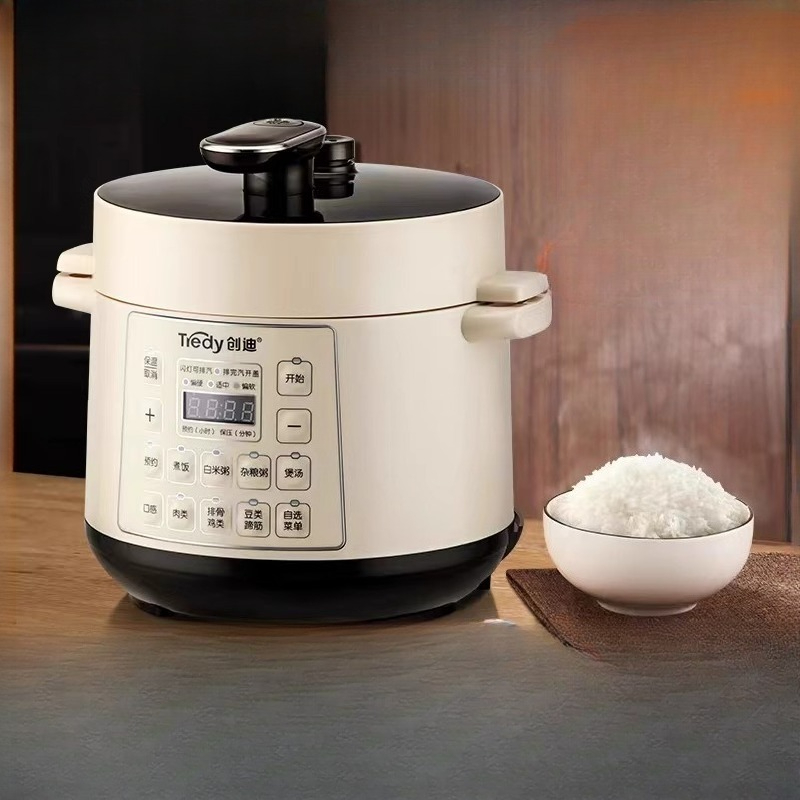Elektrischer Schnellkochtopf,  – Smart Instant Pressure Cooker Bewertung und Preis