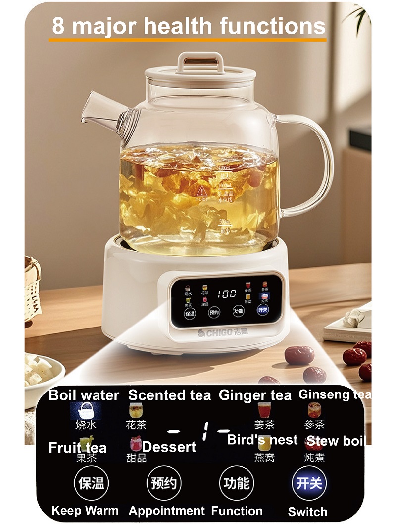 600W Multifunktions-Gesundheit – Electric Kettle Temperature Control Bewertung und Preis