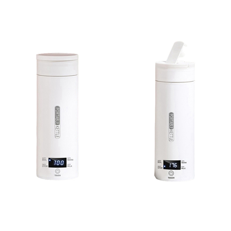 DT39 Tragbarer Reise-Wasserkoc – Electric Kettle Temperature Control Bewertung und Preis